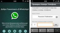 Всё о WhatsApp: от загрузки до полноценного использования